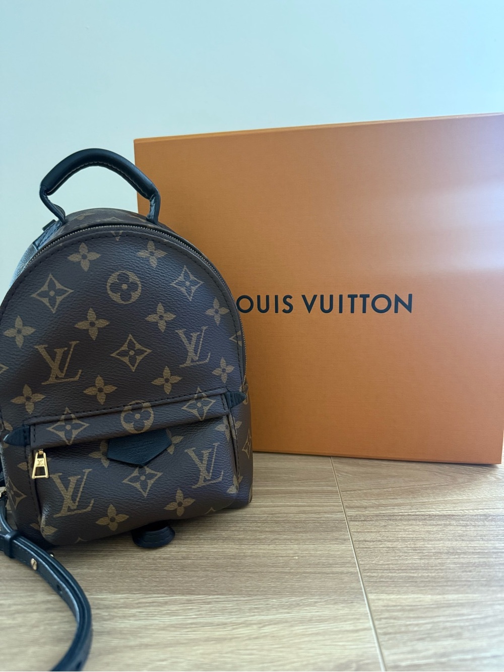 Louis Vuitton Palm Springs Mini Backpack with Gold Hardware